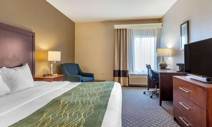 Charlotte Hotel | Comfort Inn Charlotte
