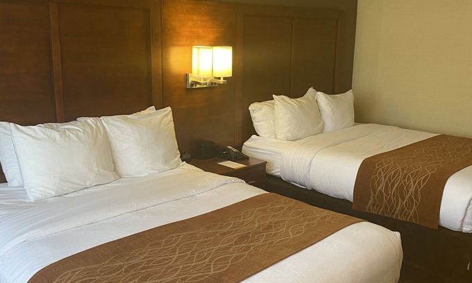 Springfield Hotel | Comfort Inn - Springfield