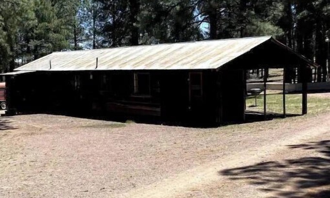 Alpine Kabine | Comfy Cozy Cabin in the tall pines of Alpine AZ #1