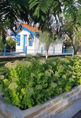 Murighiol Haus | Complex Turistic Essenza