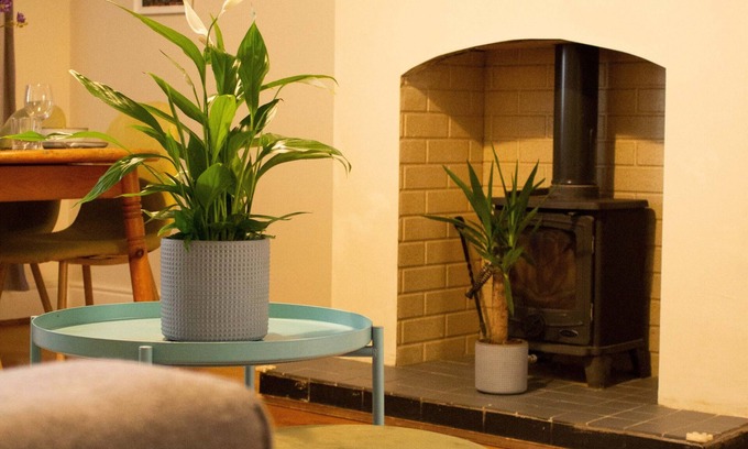 Portobello Haus | Cosy 2-bedroom home in trendy Portobello