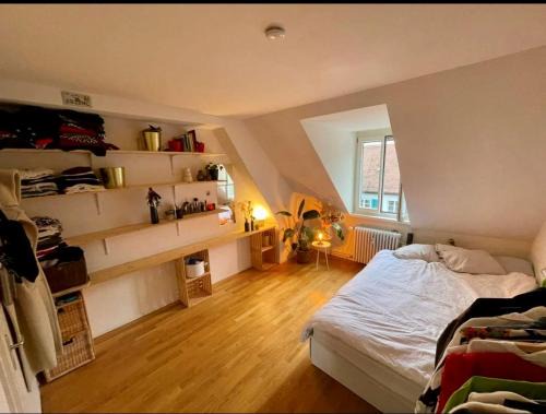 Sihlfeld Haus | Cosy room in attic flat in the center of Zurich
