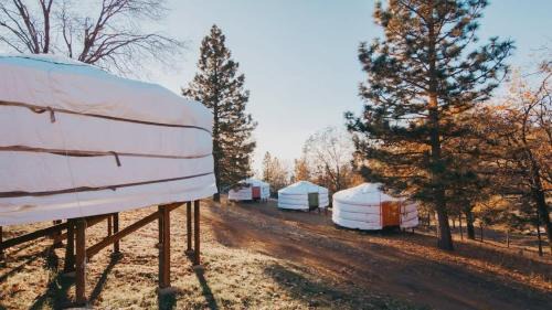 Dunlap Haus | Cosy yurt at a nature retreat in Dunlap CA