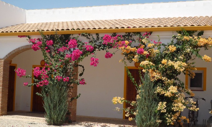 Villamartin Hütte | Ferienhaus Finca las Gateras