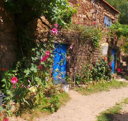 Figueiro dos Vinhos Haus | Cottage Vivenda Festina Lente