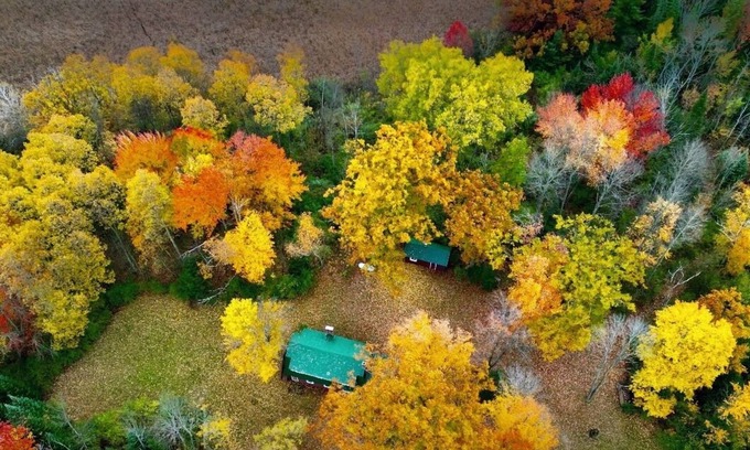 Hale Sonstige | Cozy Beautiful log cabin situated on acreage next to East Stylus Lake