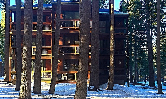 Truckee Wohnung | Schöne Wohnung in einem ruhigen Wald Einstellung-Pet Friendly, Quick Walk To Village