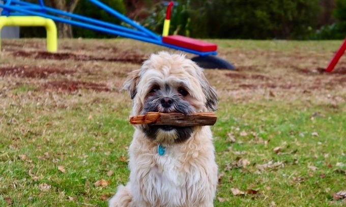 Raurimu Haus | Tongariro Cottage, Niedlich und rustikaler Charme der alten Welt