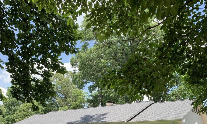 Greensboro Haus | Gemütliches Zuhause in ruhiger Nachbarschaft - 10 Minuten in die Innenstadt