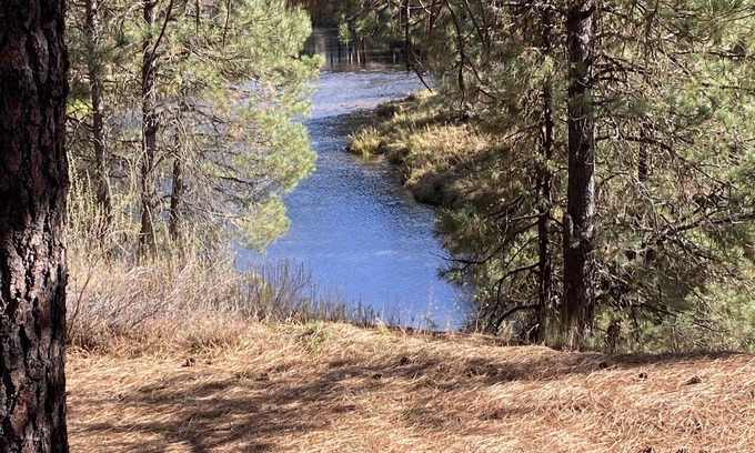 Garden Valley Kabine | Cozy home with HOT TUB, River View & Fire Pit!