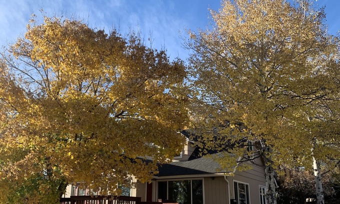 Altamont Haus | Cozy, peaceful getaway - less than 5 min from downtown Klamath