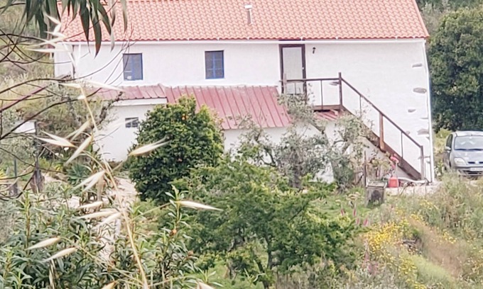 Macao Wohnung | Cozy studio in the mountains of Central Portugal! Vegan and pet friendly!