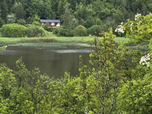 Hallevadsholm Haus | Cozy wilderness cabin at Kynnefjäll close to lake SE09081