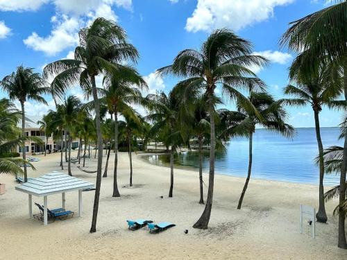 Rum Point Haus | Crystal Kai Condo