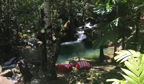 Diwan Haus | Daintree Secrets Rainforest Sanctuary