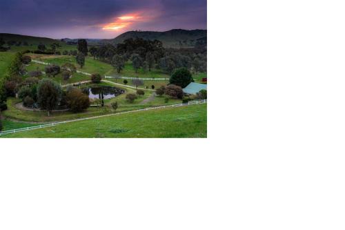 Bonnie Doon Haus | Daisy Hill Lodge