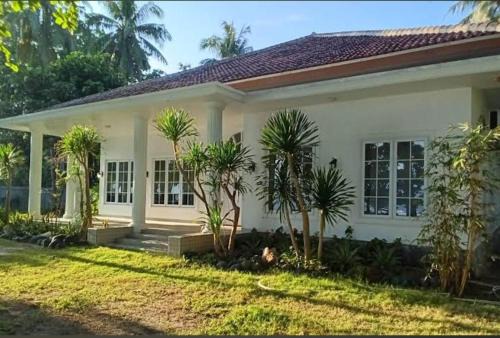 Krui Haus | Damar Tree Resort Krui