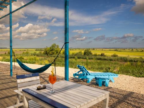 Dunavatu de Jos Haus | Danube Delta View