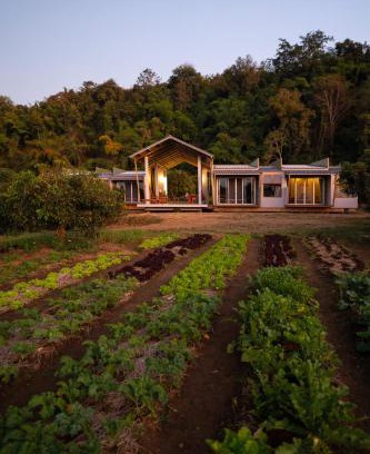 Chiang Dao Sonstige | Daraga ดารกะ