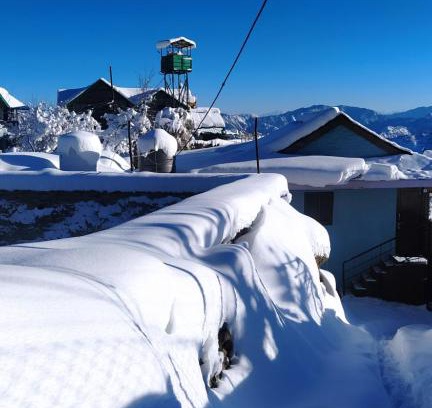 Shimla Haus | Deodar Homestay Dakbangla-kufri