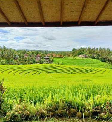 East Selemadeg Haus | Dewi Nara Guest House By Balitrees