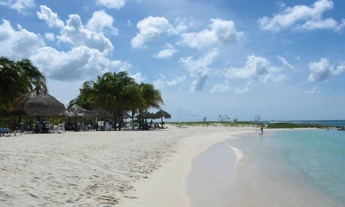 Palm Beach Resort | Divi Aruba Phoenix Beach Resort & Spa, Hot Tub RW