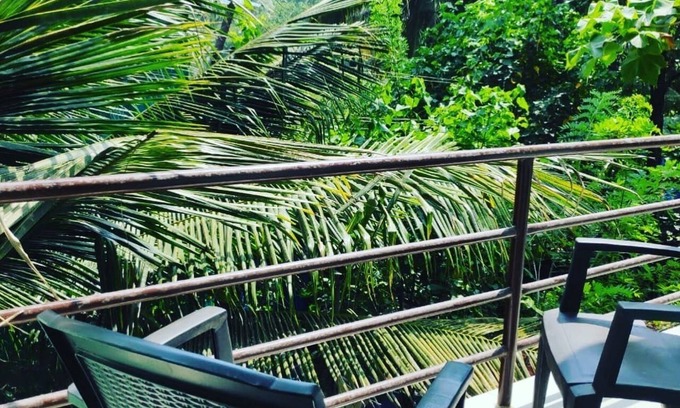 Ashvem Haus | Divine Magic- Way to Serenity
