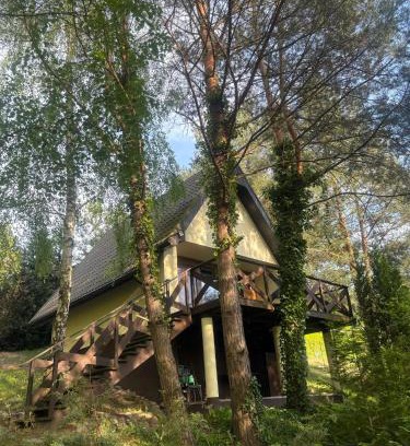Gasawa Haus | Domek Sosnowe Wzgórze Wiktorowo