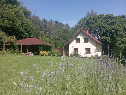 Zirov Haus | Domek v osadě Kladiny