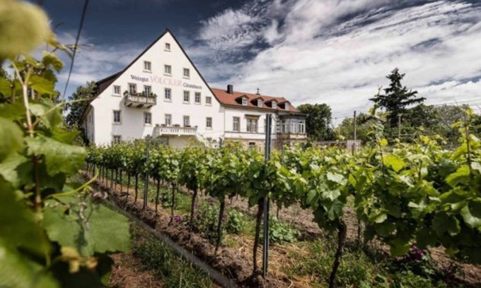 Mußbach Bed & Breakfast | Doppelzimmer, Dusche, WC, straßenseitig - Weingut - Gästehaus Völcker
