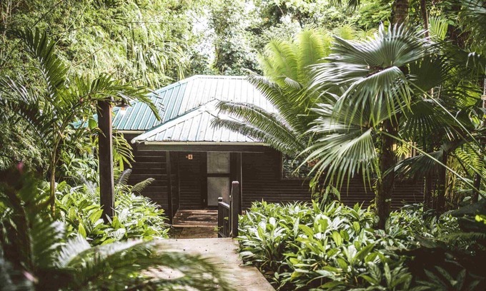 Forest Home Wohnung | Doppel Queen Dschungel Suite