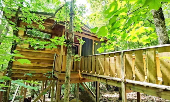 Monteagle Kabine | Abgeschiedenes Stück Himmel in den Baumwipfeln! Baumhaus für Paare