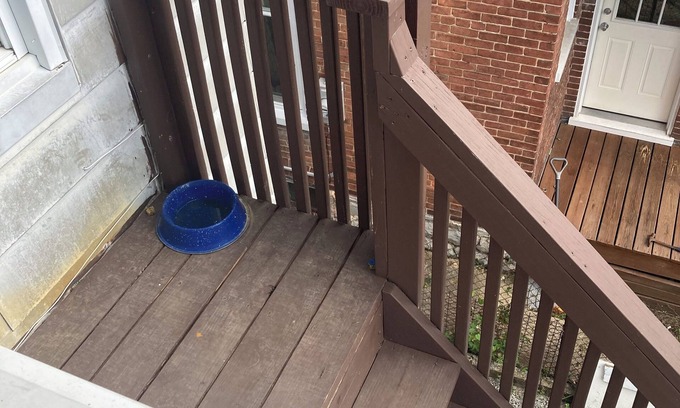 Waynesboro Haus | Downtown Waynesboro Home. Spacious and lovely.