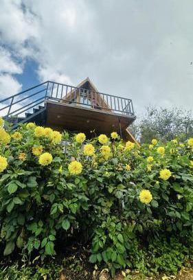 Kodaikanal Sonstige | Dreamy Wonders Resorts