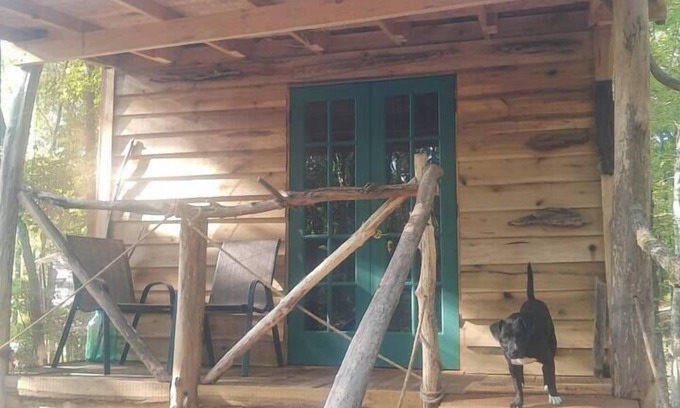 Ozone Kabine | Driftwood Treehouse Cabin w/AC, Peaceful & Cozy!