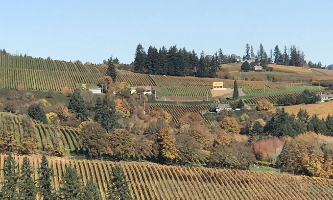 Dundee Haus | 3 Master Suiten! Exquisite Oregon Wine Country Erfahrung