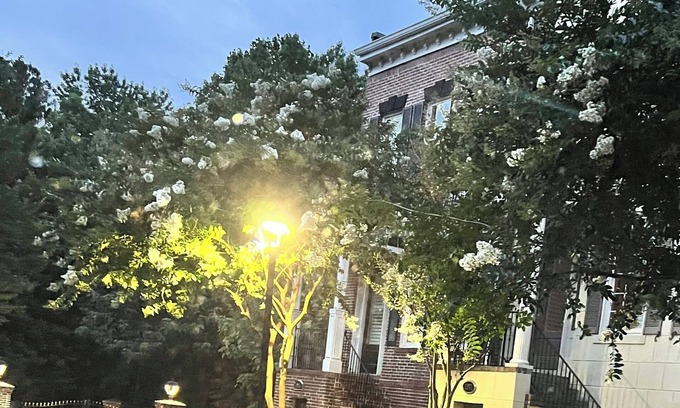 Sandy Springs Haus | Dunwoody Dreamz…in Sandy Springs