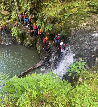 Abercwmboi Haus | Earth Pod 2 Pet Friendly