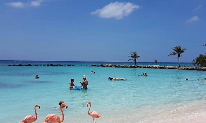Washington Haus | Leicht 0. 3 Meile zu Fuß zum berühmten Palm Beach Strip