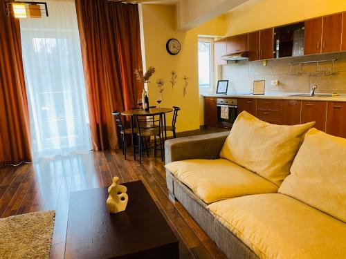 Cluj-Napoca Wohnung | Eclipse Apartment Free Parking