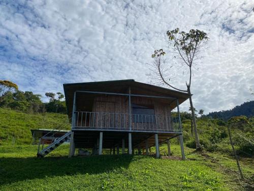 Alfombra Wohnung | Econative Baru Toucan Cabin con vista al bosque de Platanillo