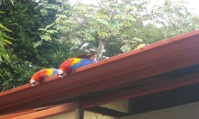 El Cerro Haus | Elegant Adults only Guesthouse