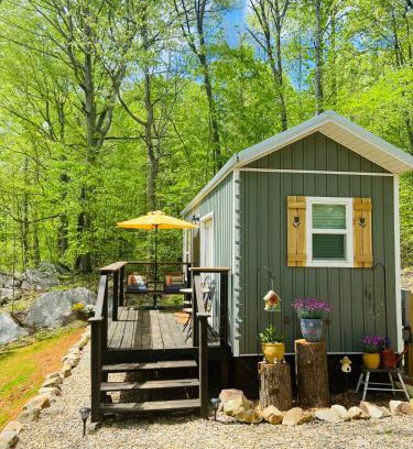 Newport Haus | Enchanting Cottage In The Woods