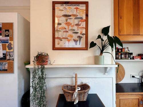 South Hobart Haus | Enchanting Vintage House at South Hobart