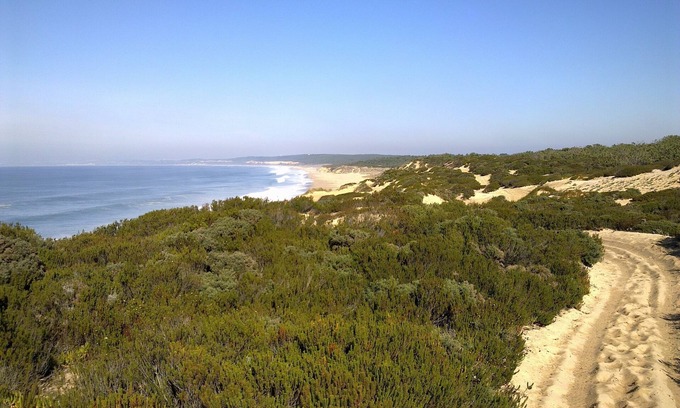 Meco Haus | Entre plage et pineède forest