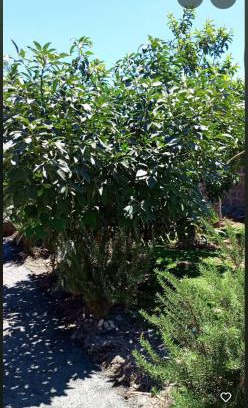 Nakuru Haus | EsMash Studio Machine lanet Nakuru