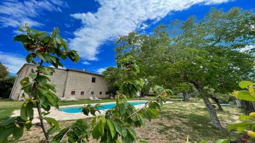 Poreta Haus | Exclusive Pool-open All Year-spoleto Biofarm-slps 8-village shops, bar1 km 4
