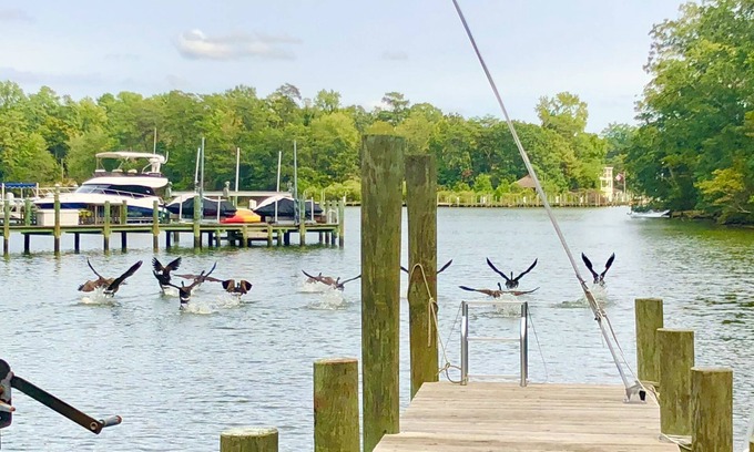 Weems Haus | Fall is Firepit and Kayak Season!