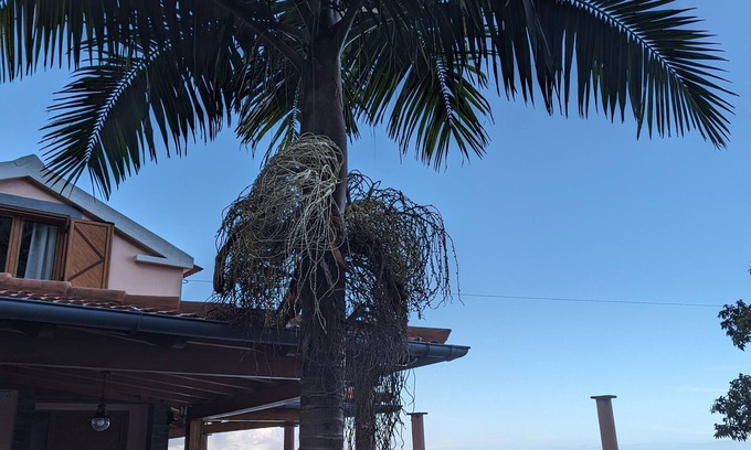 Ponta Delgada Hütte | Das Chalet Terra Vieira hat einen Blick auf die Berge und das Meer