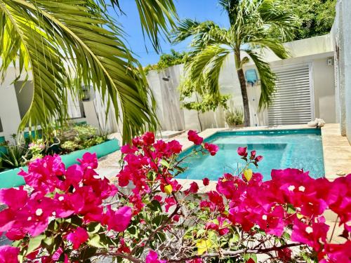 Noord Villa | Fantastic Private Tropical Villa in Palm Beach with Breakfast